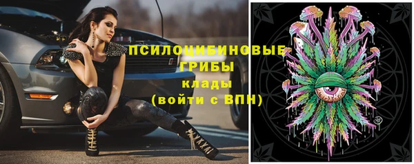 мет Абинск