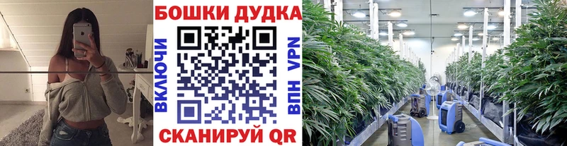 Бошки марихуана AK-47  hydra ссылки  Карабаново 